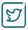 Job Details Twitter Icon